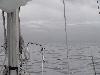 sailboat following fishing trawler in thick fog