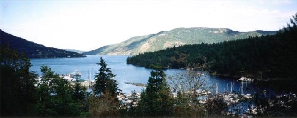 photo of maple bay marina