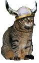 cat with viking helmet
